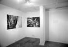 \'Forest Fears\' installation, Spitz Gallery, London, 2001
